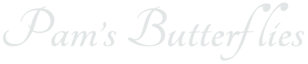 Pam's Butterflies logo